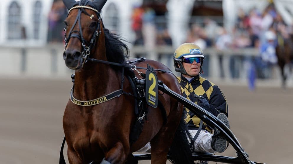 Arkivbild: Björn Goop med hästen San Moteur inför Åby World Grand Prix den 10 augusti 2024 i Mölndal. Foto: Bildbyrån