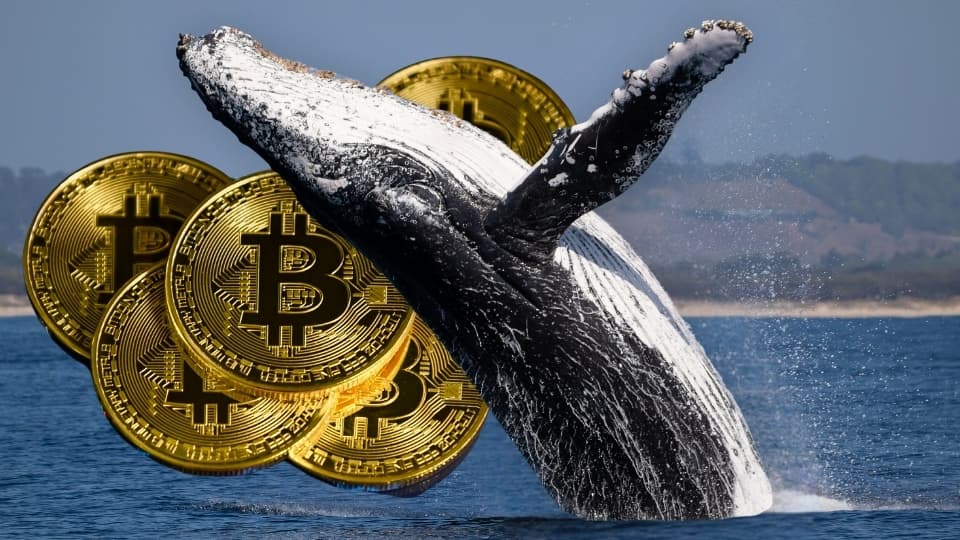 En så kallad "bitcoinval" har gjort flera uppmärksammade transaktioner
