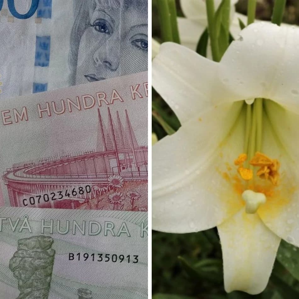 Kronan