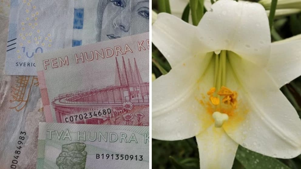 Kronan