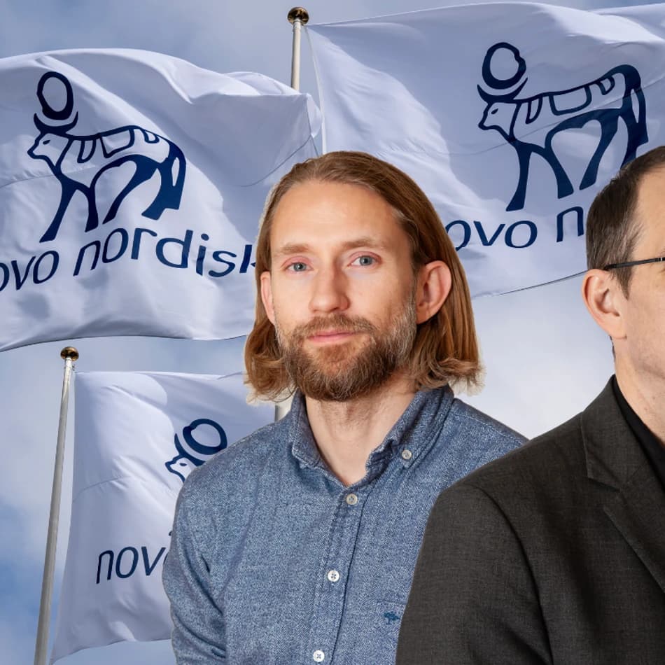 Novo placera