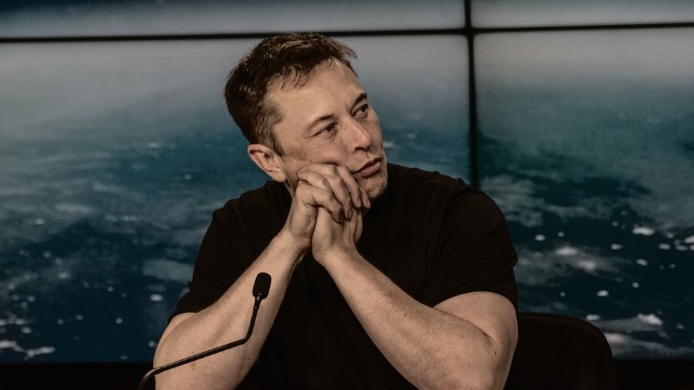 Musk (1)