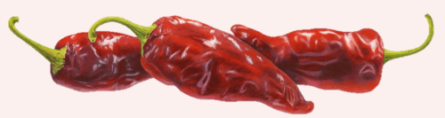 placera-Chipotle krydda chili.png