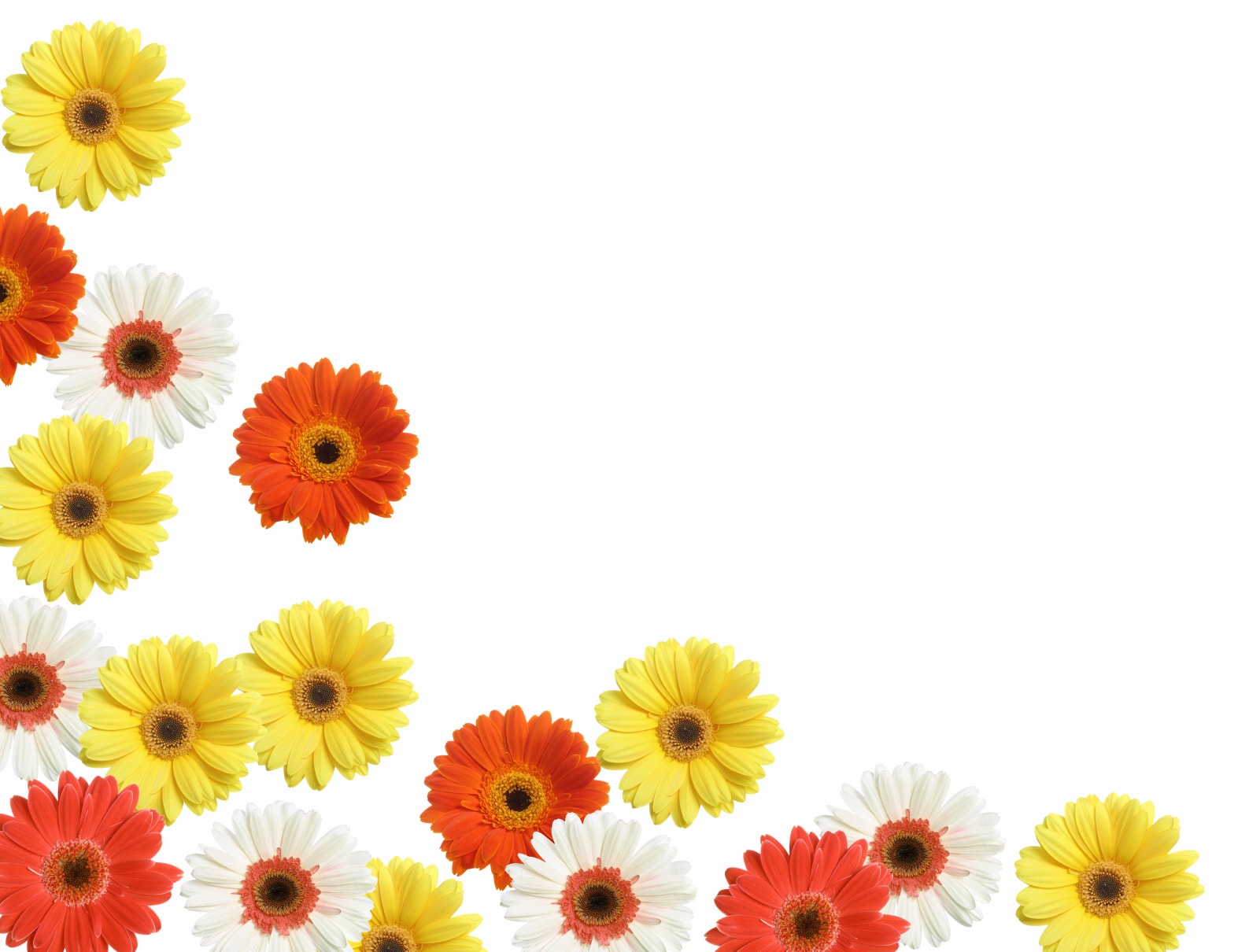 placera-companies-S-sommar blommor.jpg