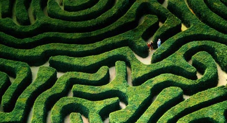 placera-hedge.jpg