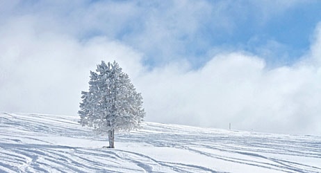 placera-nyabilder-januari-vinter.jpg