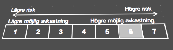 placera-redaktionellt-2018-Riskskala.PNG