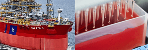 placera-redaktionellt-2018-genmabbwoffshore.png