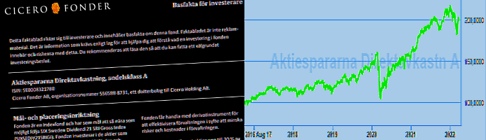 placera-redaktionellt-2021-060422diravk700b.png