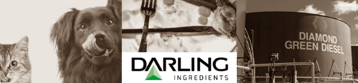 placera-redaktionellt-2021-Darling ingredients 1.png