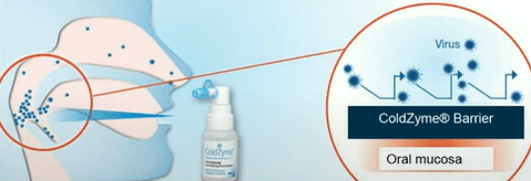 placera-redaktionellt-2021-coldzyme.PNG