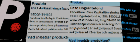 placera-redaktionellt-2023bilder-fondanalys ikc case.png